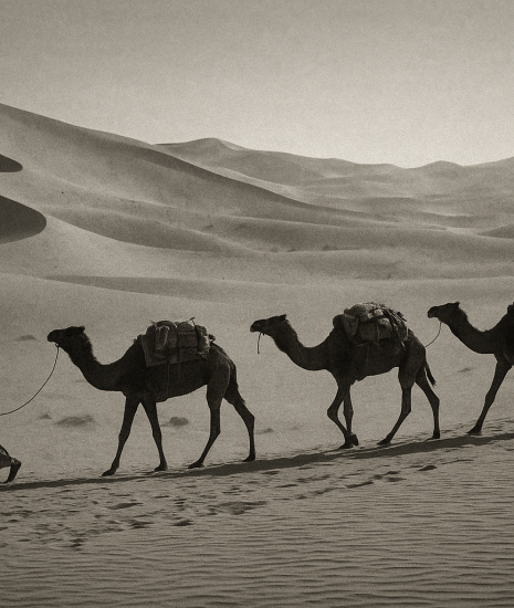 Expeditions venture into Akhrazia’s shifting sands in search of rumored gold.