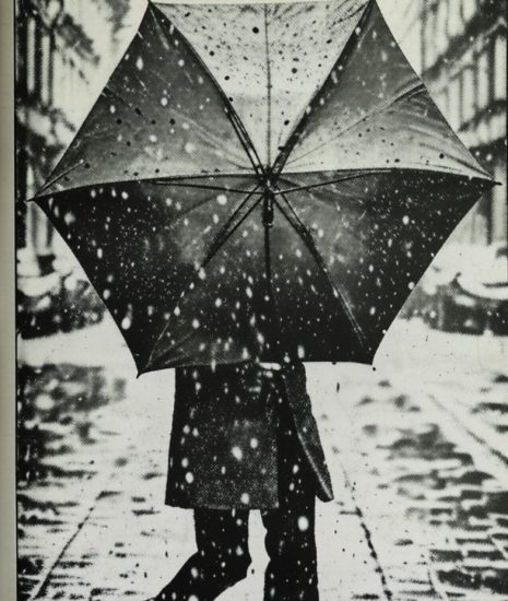 Climate Change Division