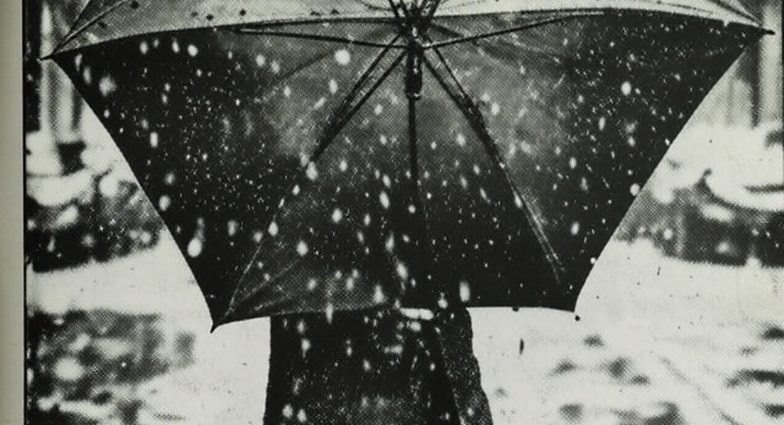 Climate Change Division